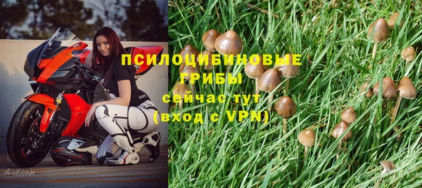 Альфа ПВП Алзамай