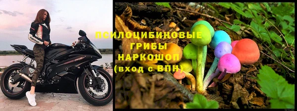 стаф Нефтекумск