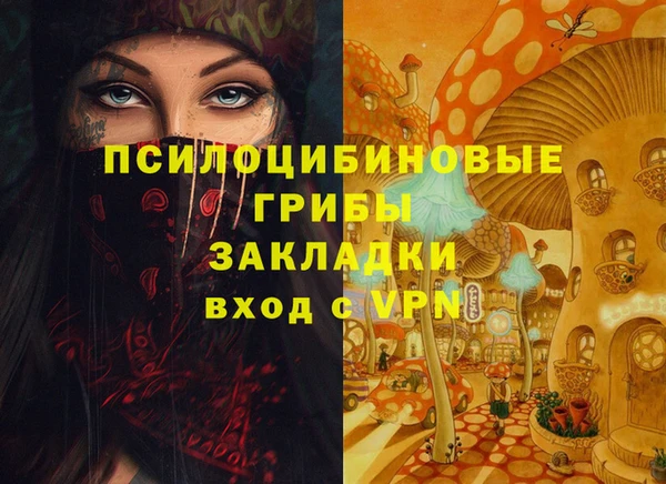 первитин Алексеевка